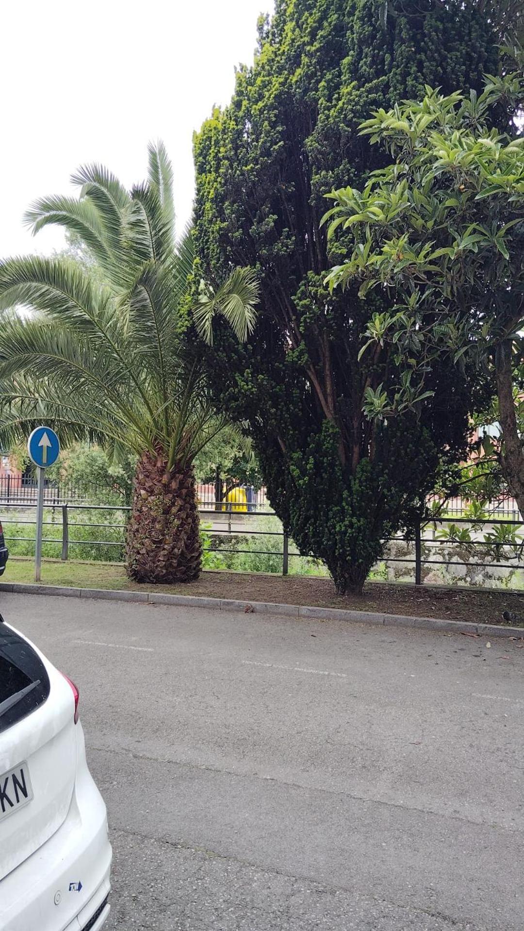Apartmán El Caudalin De Mieres Mieres  Exteriér fotografie